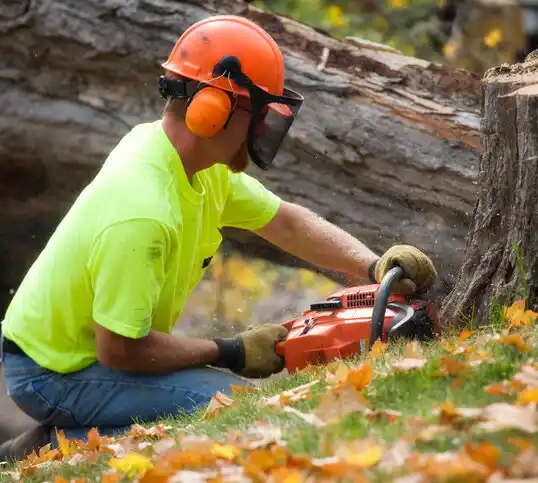 tree services Richfield